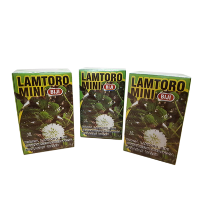 LAMTORO MINI